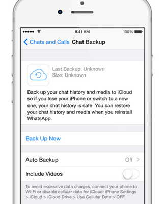 Stellen Sie WhatsApp-Nachrichten vom iCloud Backup wieder her